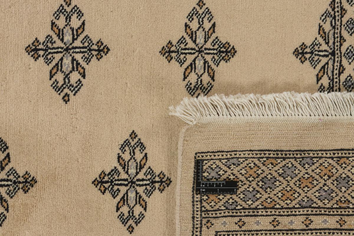 Pakistan Buchara 2ply - 1