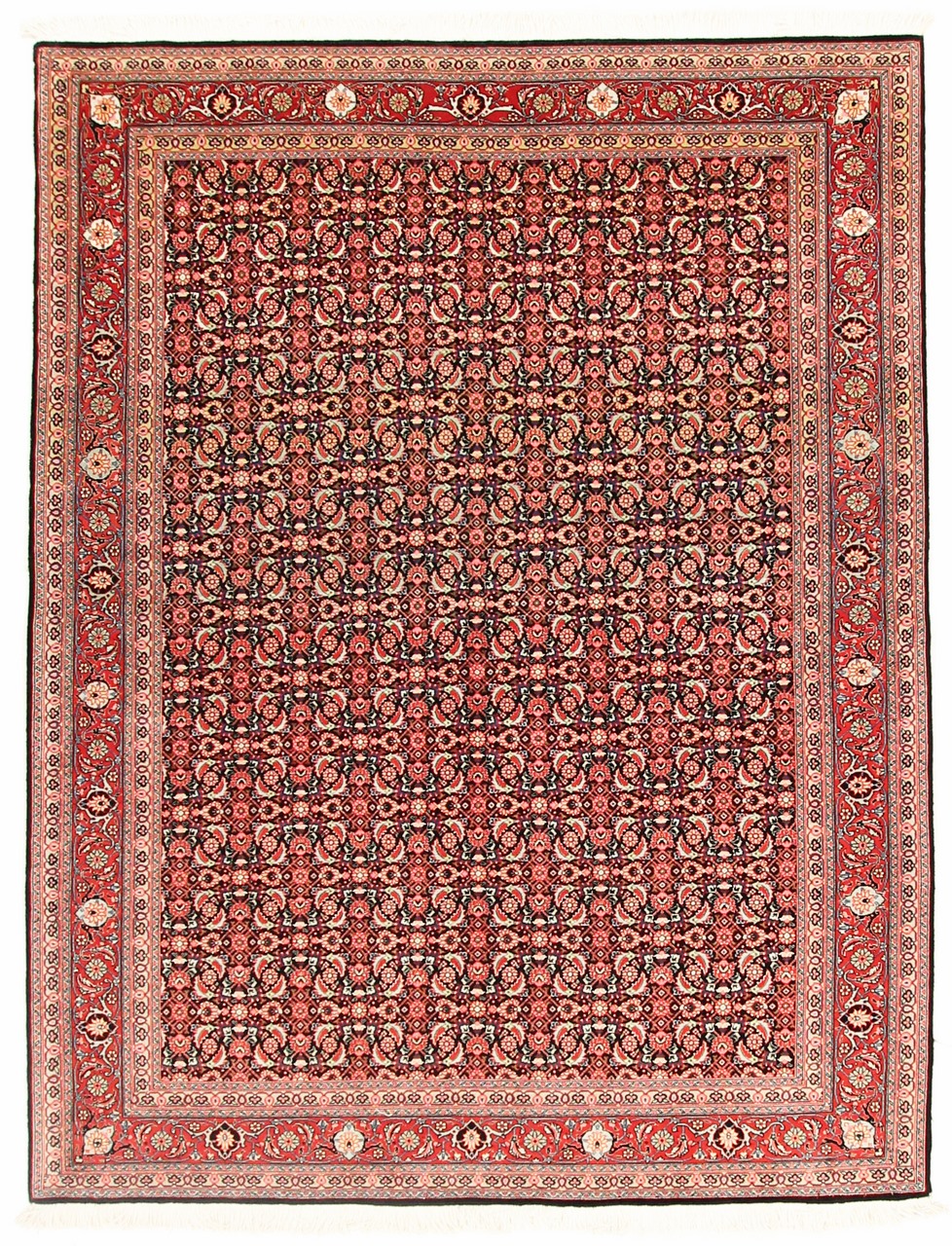 Alfombra persa Tabriz 60Raj 200x152 200x152, Alfombra persa Anudado a mano