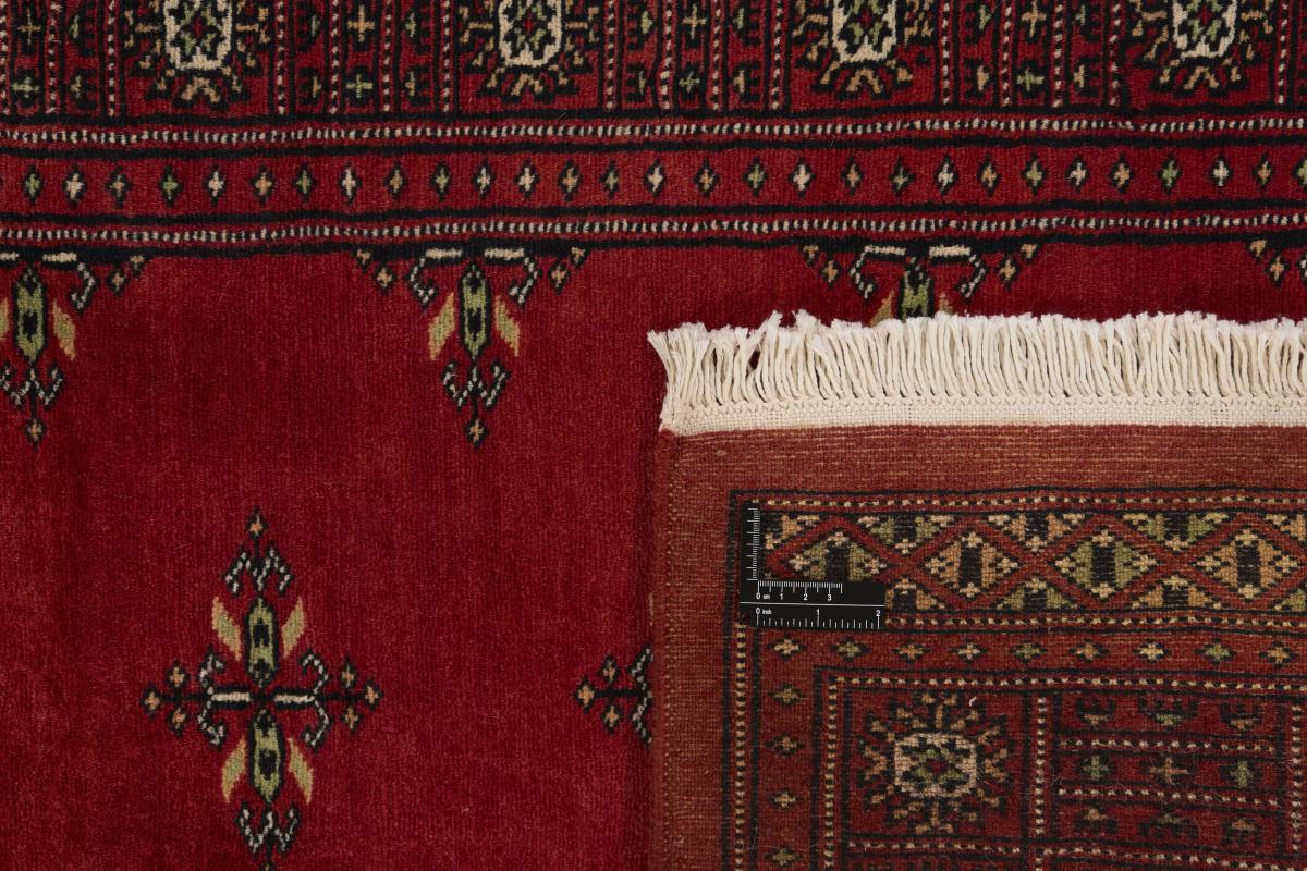 Pakistan Buchara 2ply - 1