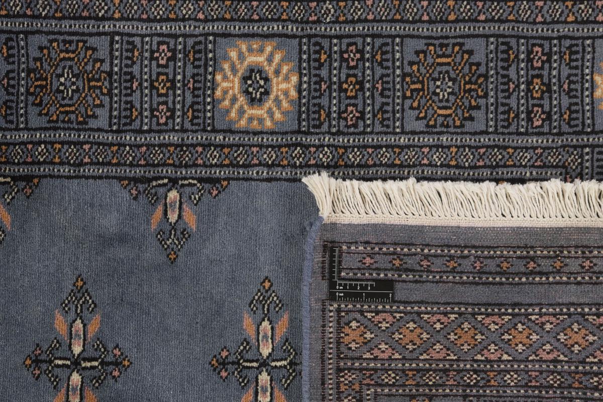 Pakistan Buchara 2ply - 1