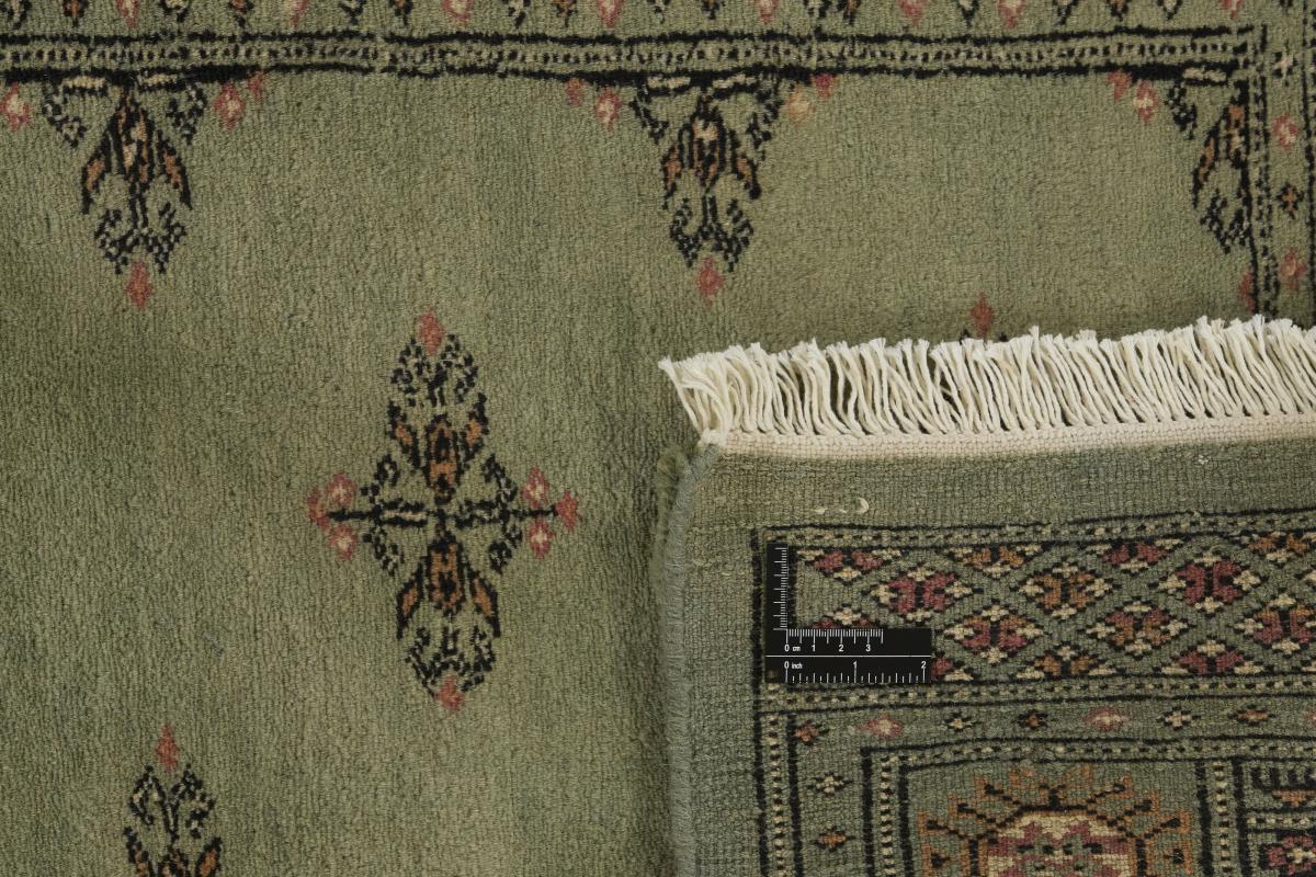 Pakistan Buchara 3ply - 1