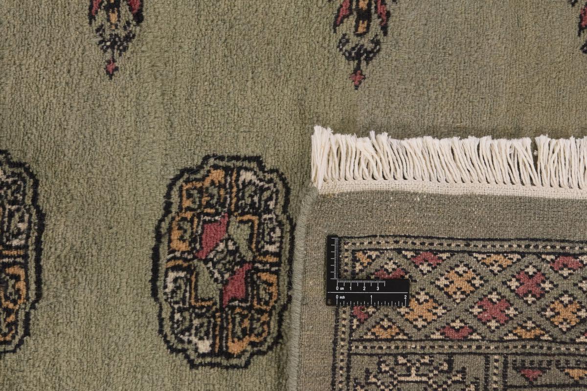 Pakistan Buchara 3ply - 1