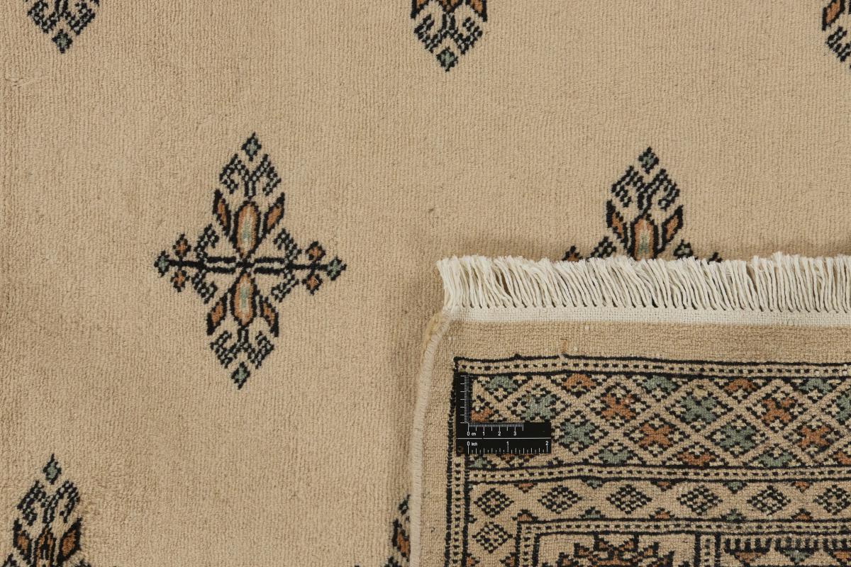 Pakistan Buchara 2ply - 1