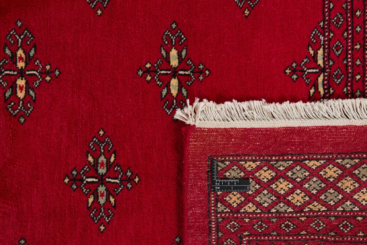 Pakistan Buchara 2ply - 1
