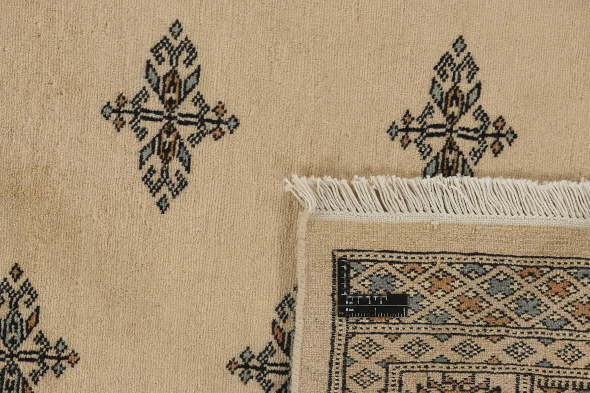 Pakistan Buchara 2ply - 1