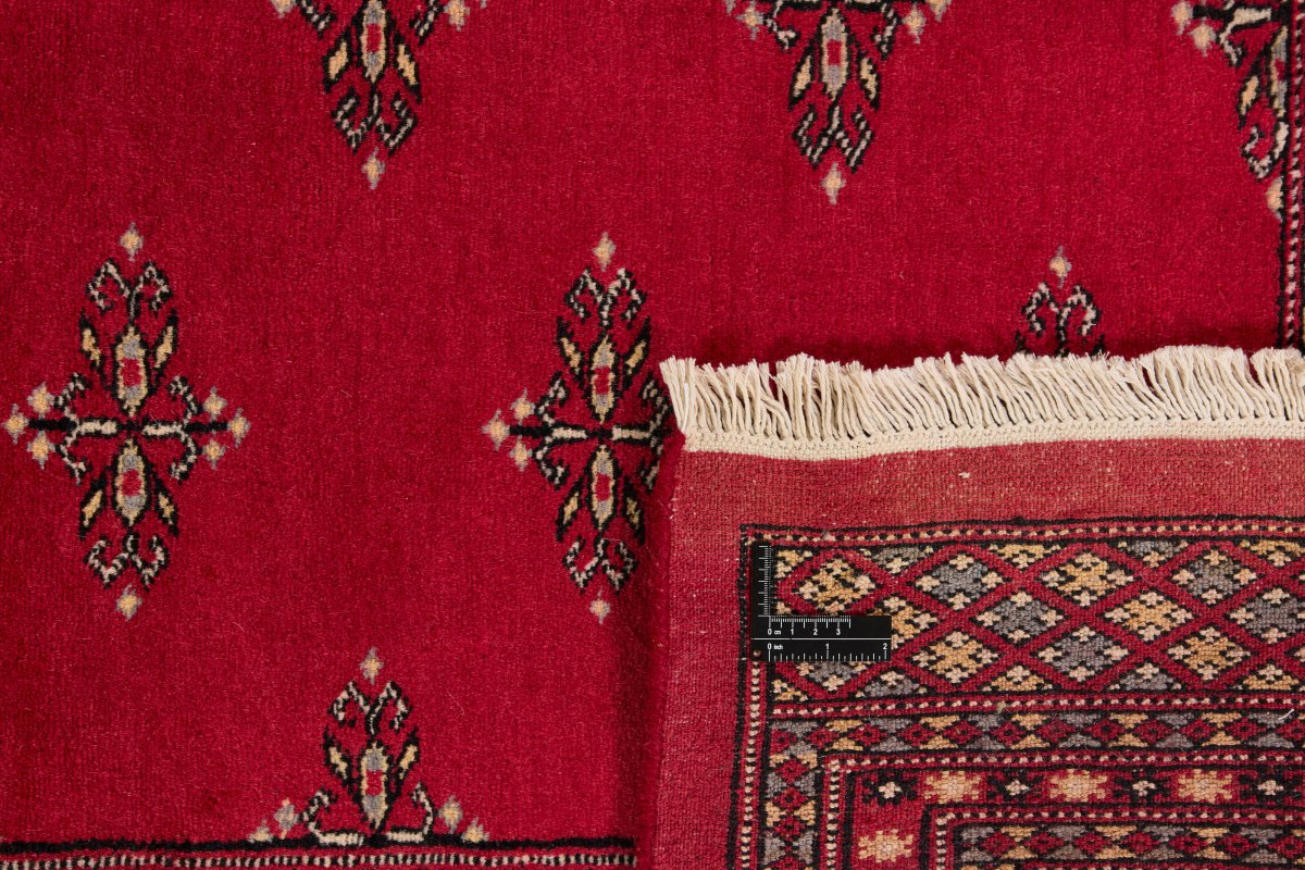 Pakistan Buchara 2ply - 1
