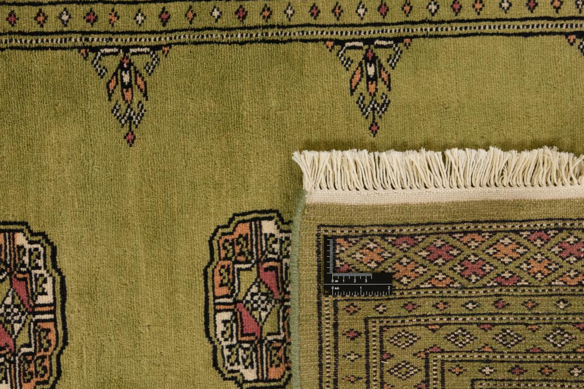 Pakistan Buchara 2ply - 1