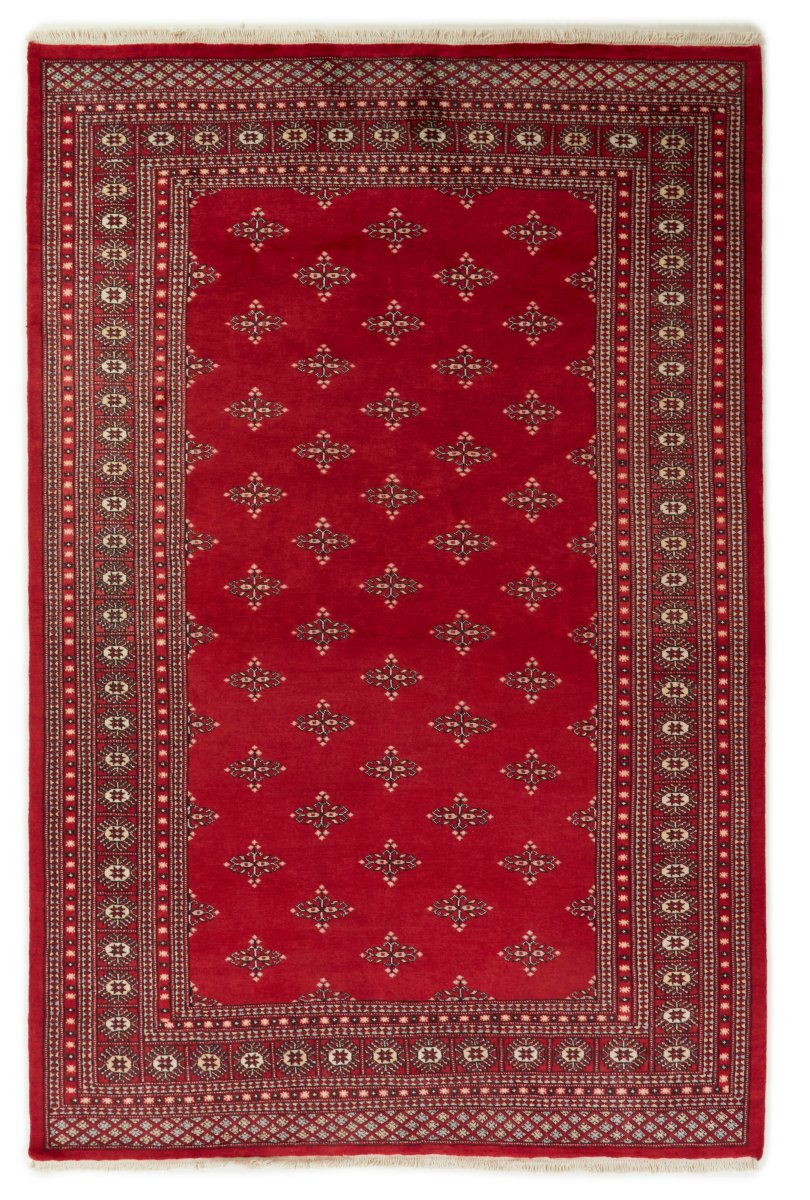Pakistansk matta Pakistan Buchara 2ply 302x200 302x200, Persisk matta Handknuten