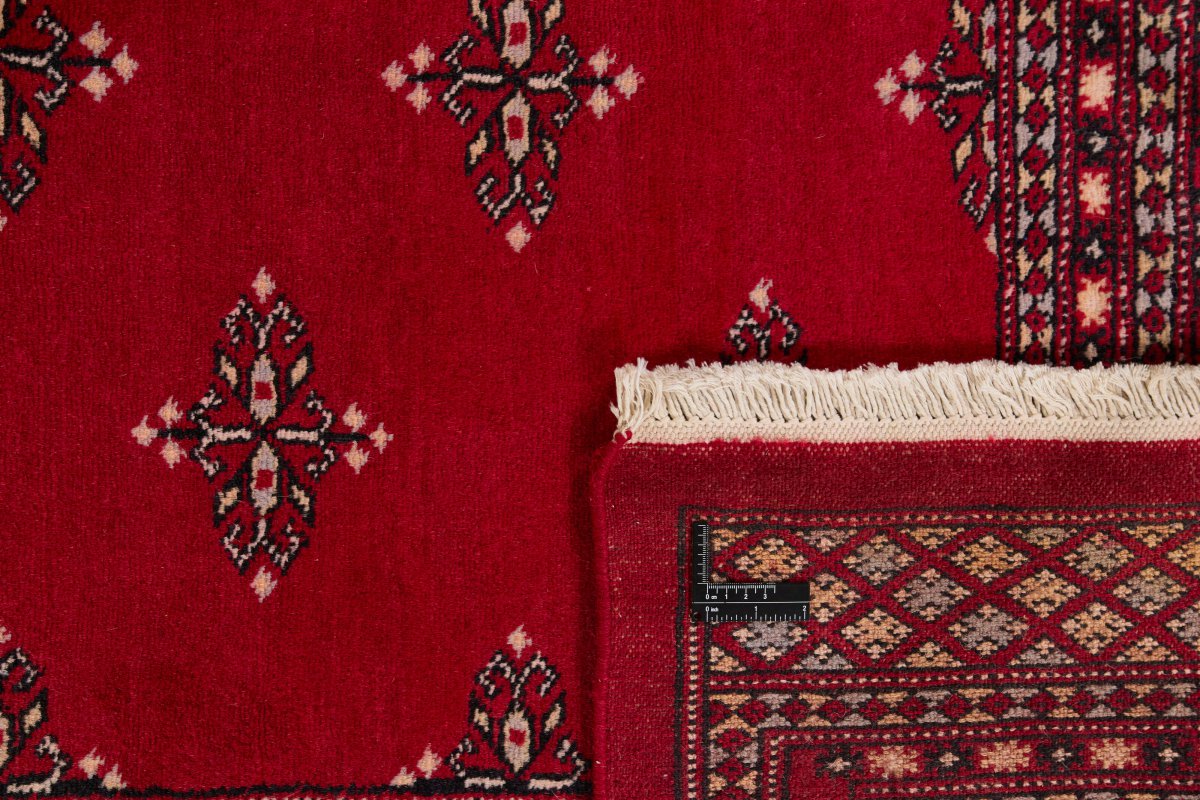 Pakistan Buchara 2ply - 1