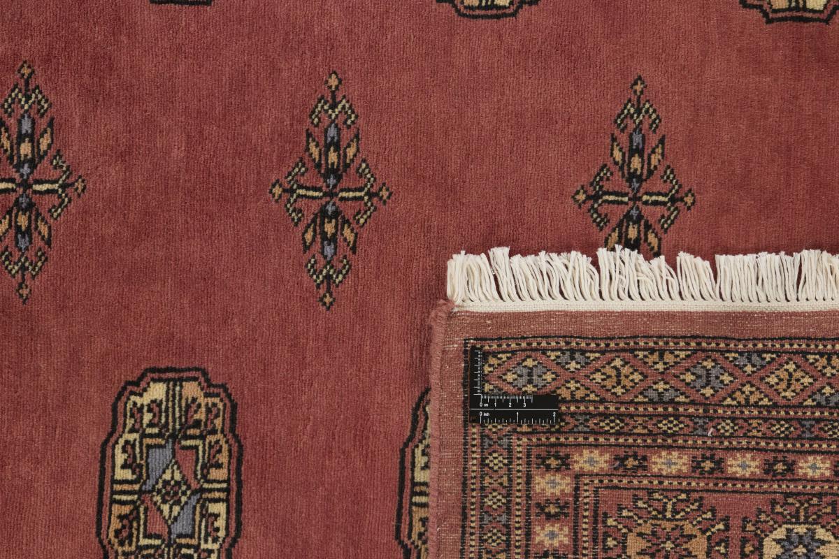 Pakistan Buchara 2ply - 1
