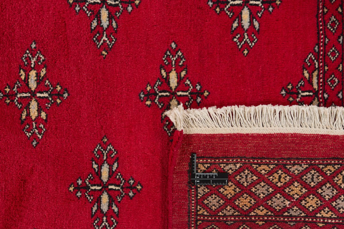 Pakistan Buchara 2ply - 1