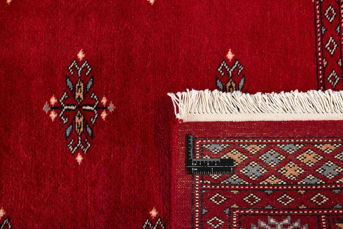Pakistan Buchara 3ply - 1