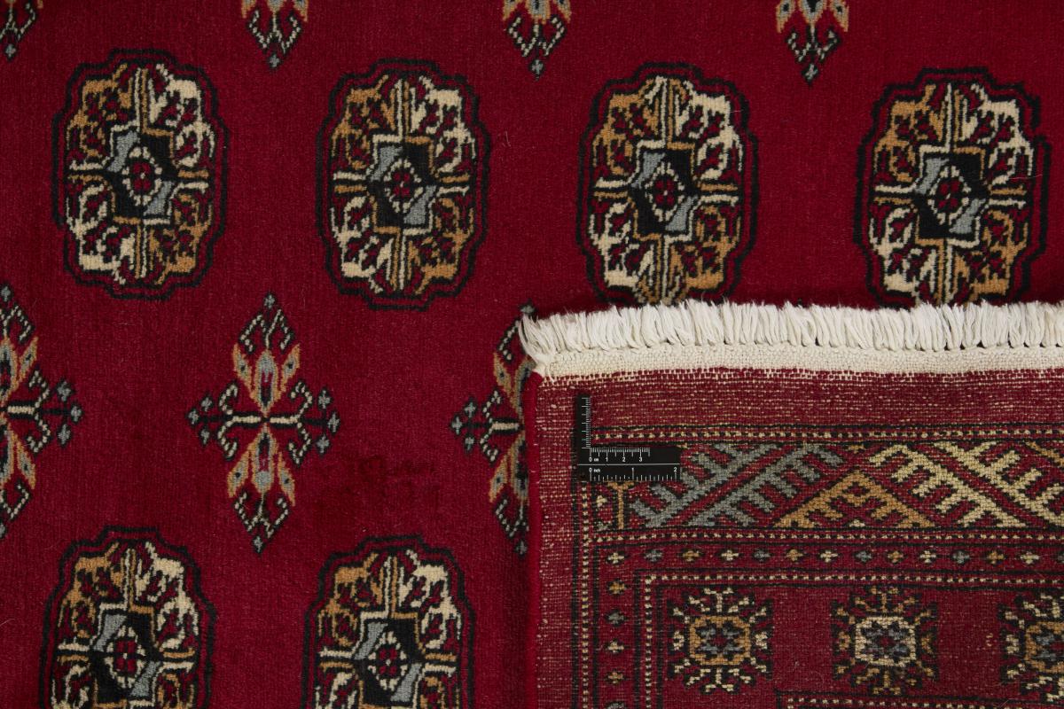 Pakistan Buchara 2ply - 1