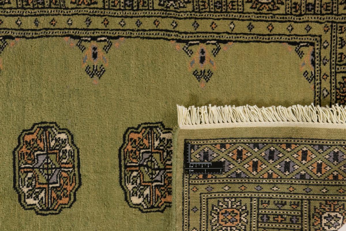 Pakistan Buchara 2ply - 1