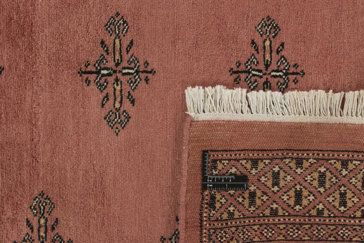 Pakistan Buchara 2ply - 1