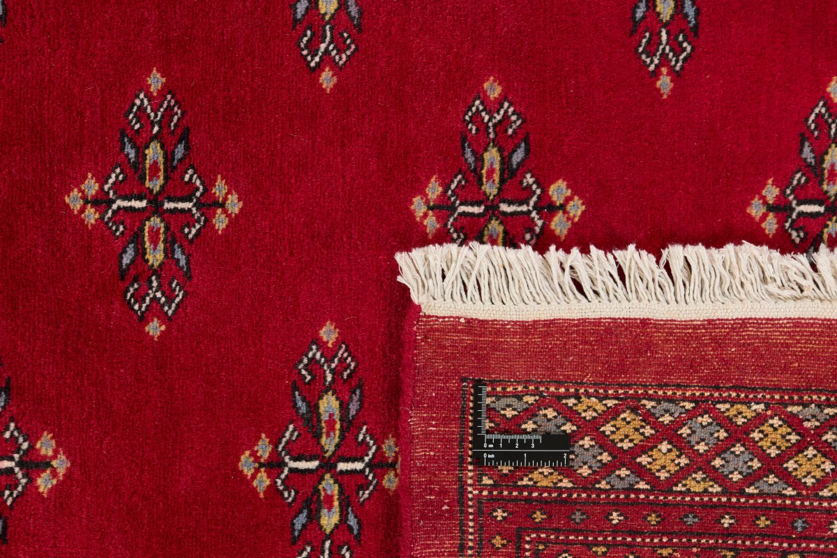 Pakistan Buchara 2ply - 1