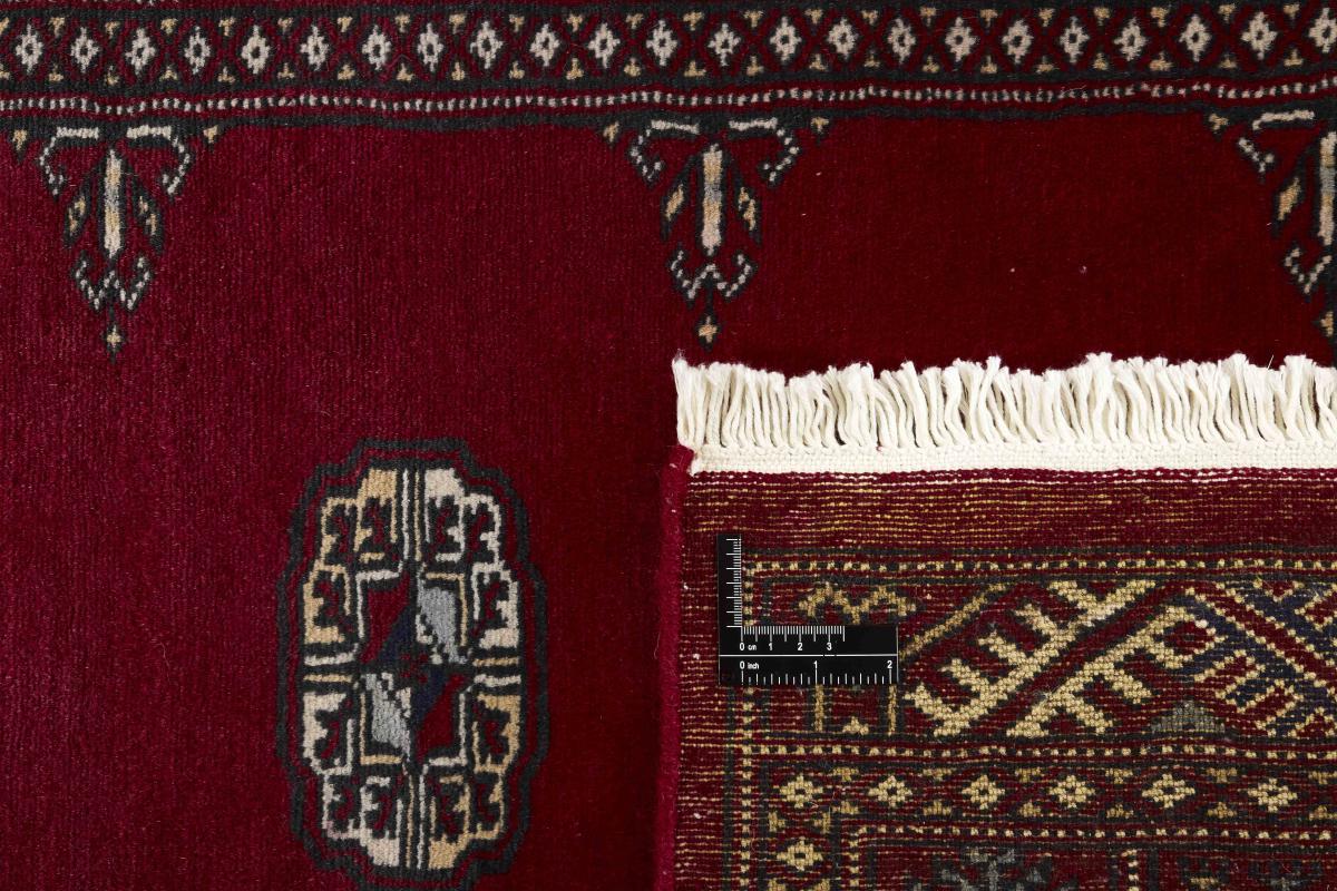 Pakistan Buchara 2ply - 1