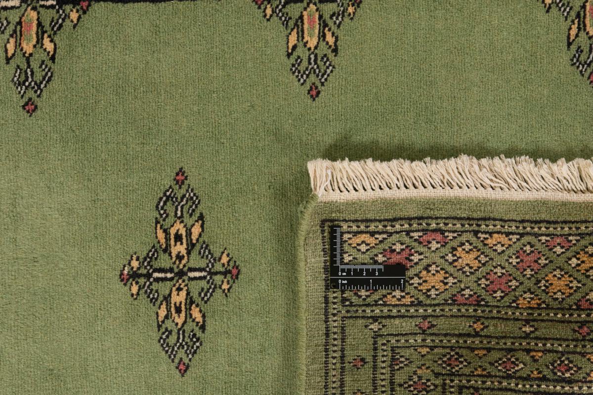 Pakistan Buchara 2ply - 1
