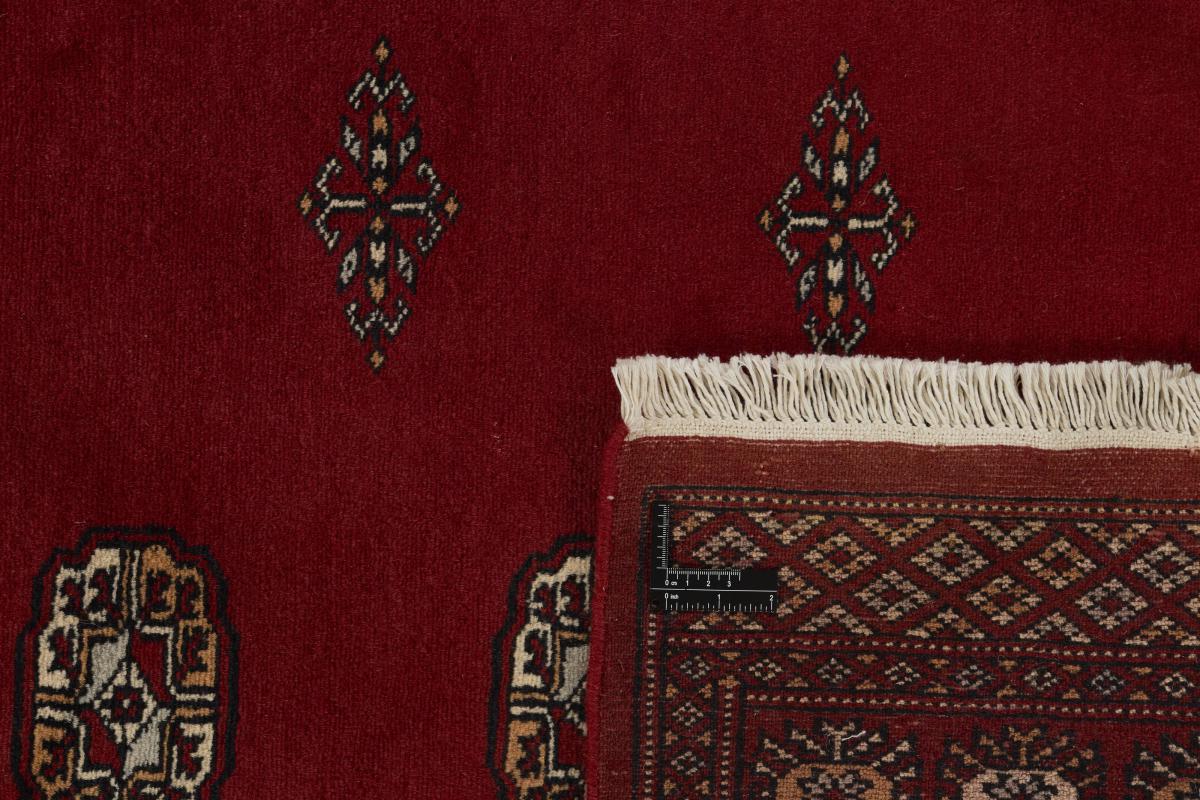 Pakistan Buchara 2ply - 1