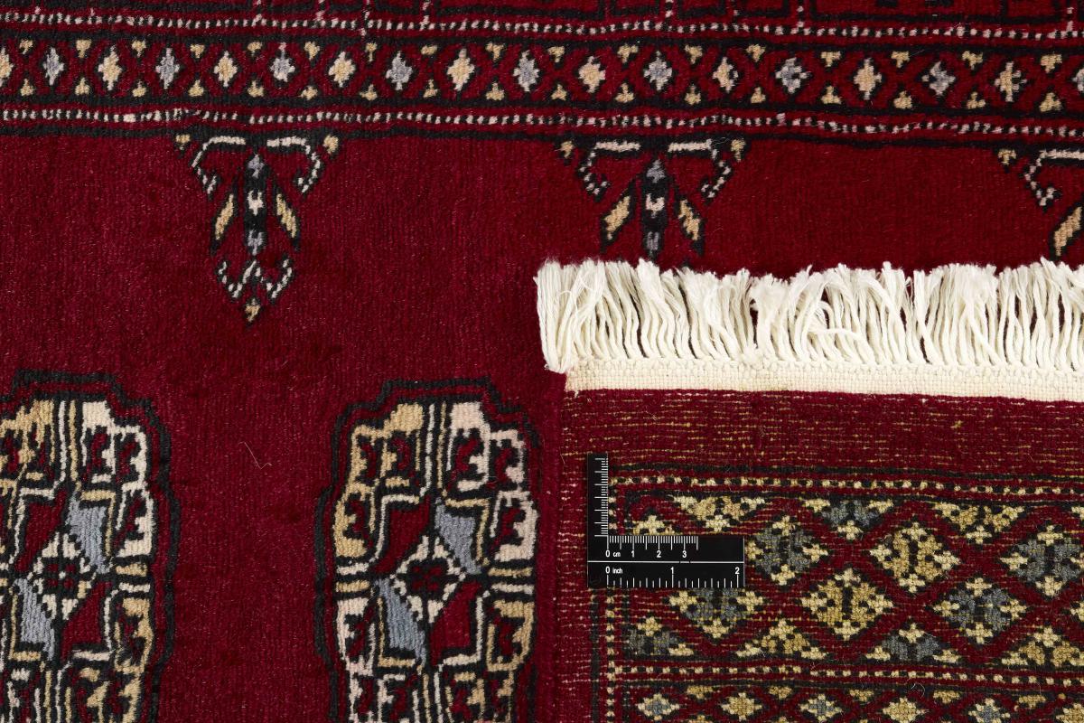 Pakistan Buchara 2ply - 1