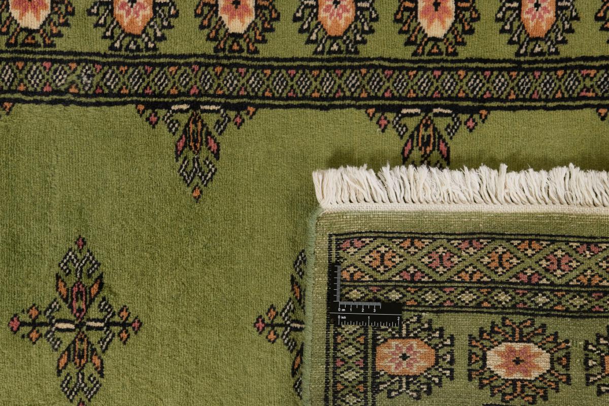 Pakistan Buchara 2ply - 1