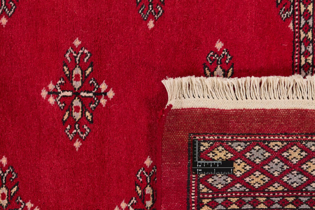 Pakistański Buchara 2ply - 1