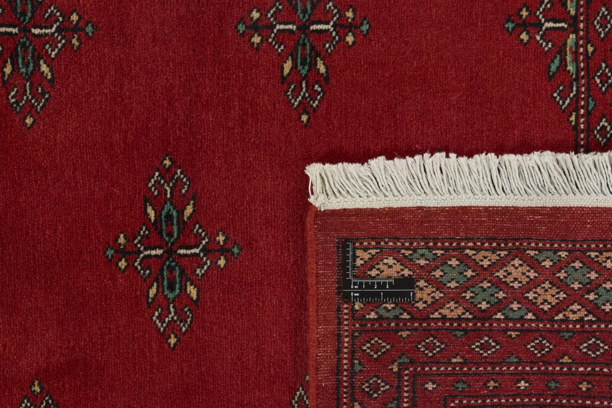 Pakistan Buchara 2ply - 1