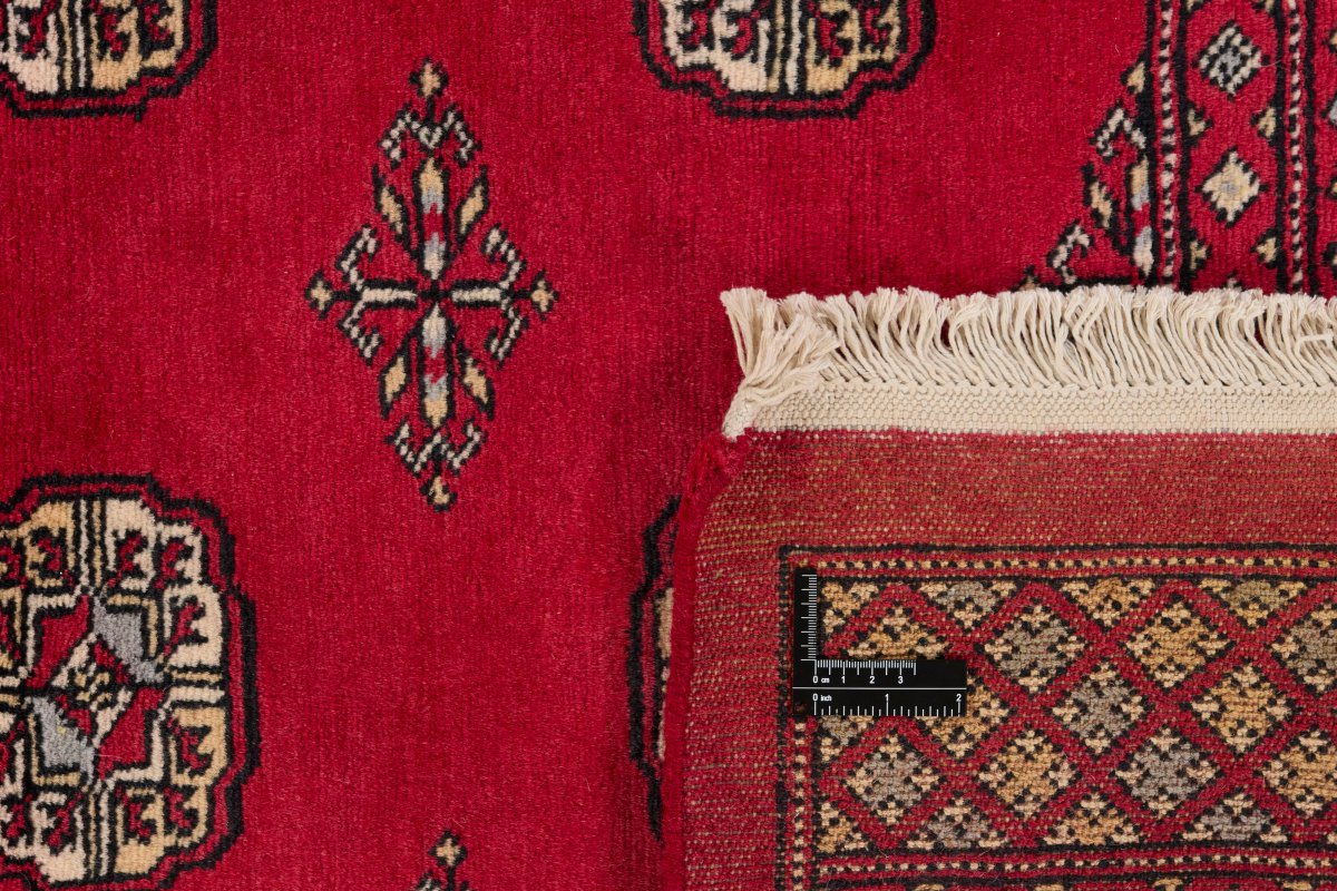 Pakistan Buchara 2ply - 1