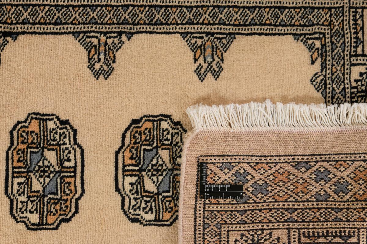 Pakistan Buchara 2ply - 1