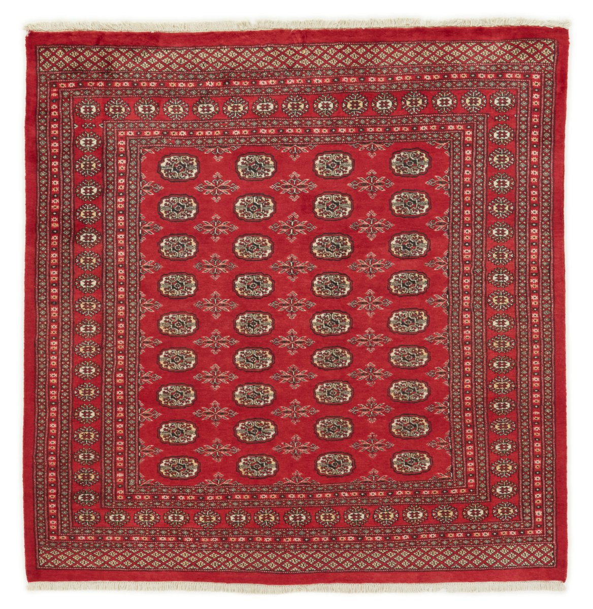 Pakistani rug Pakistan Buchara 2ply 205x199 205x199, Persian rug Hand-knotted