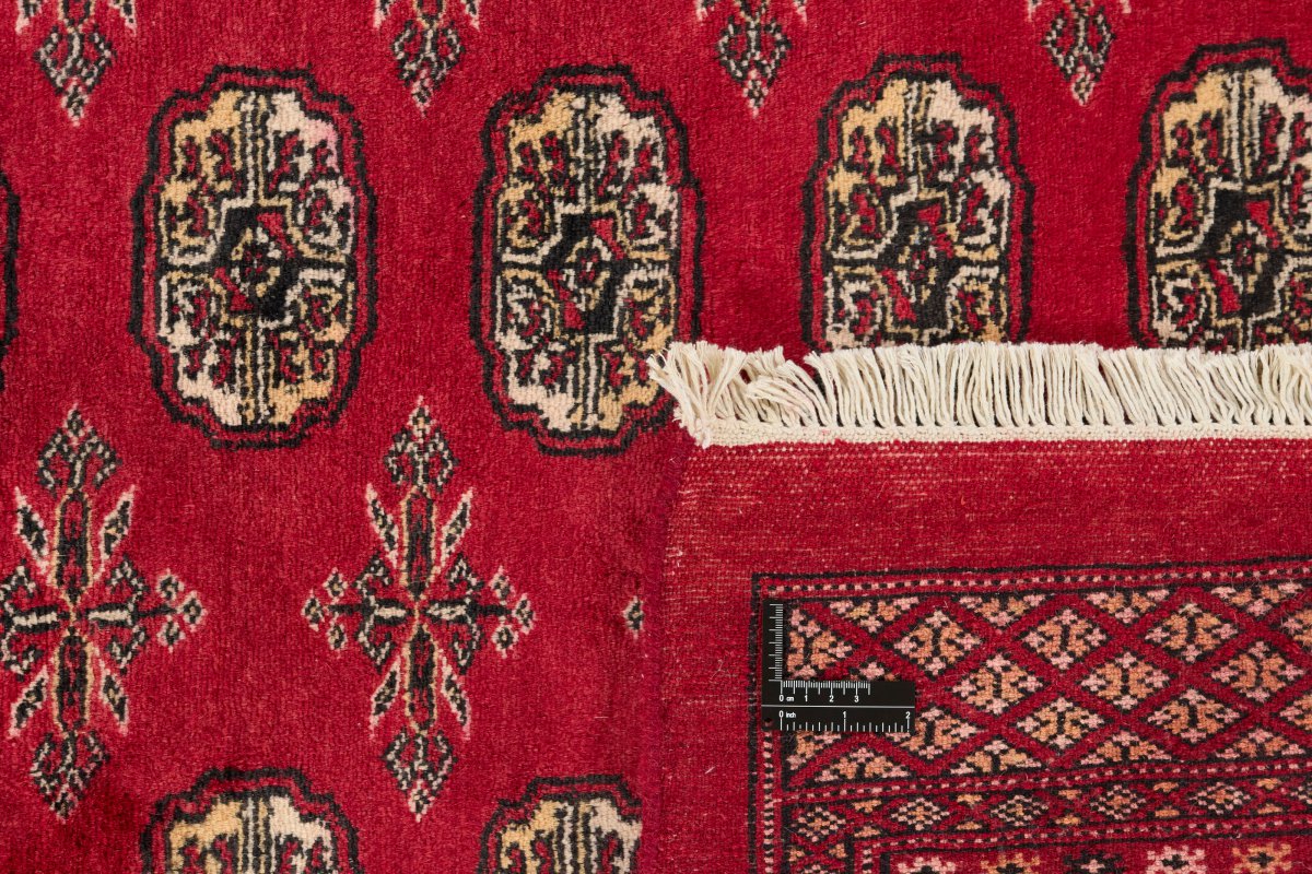 Pakistan Buchara 2ply - 1