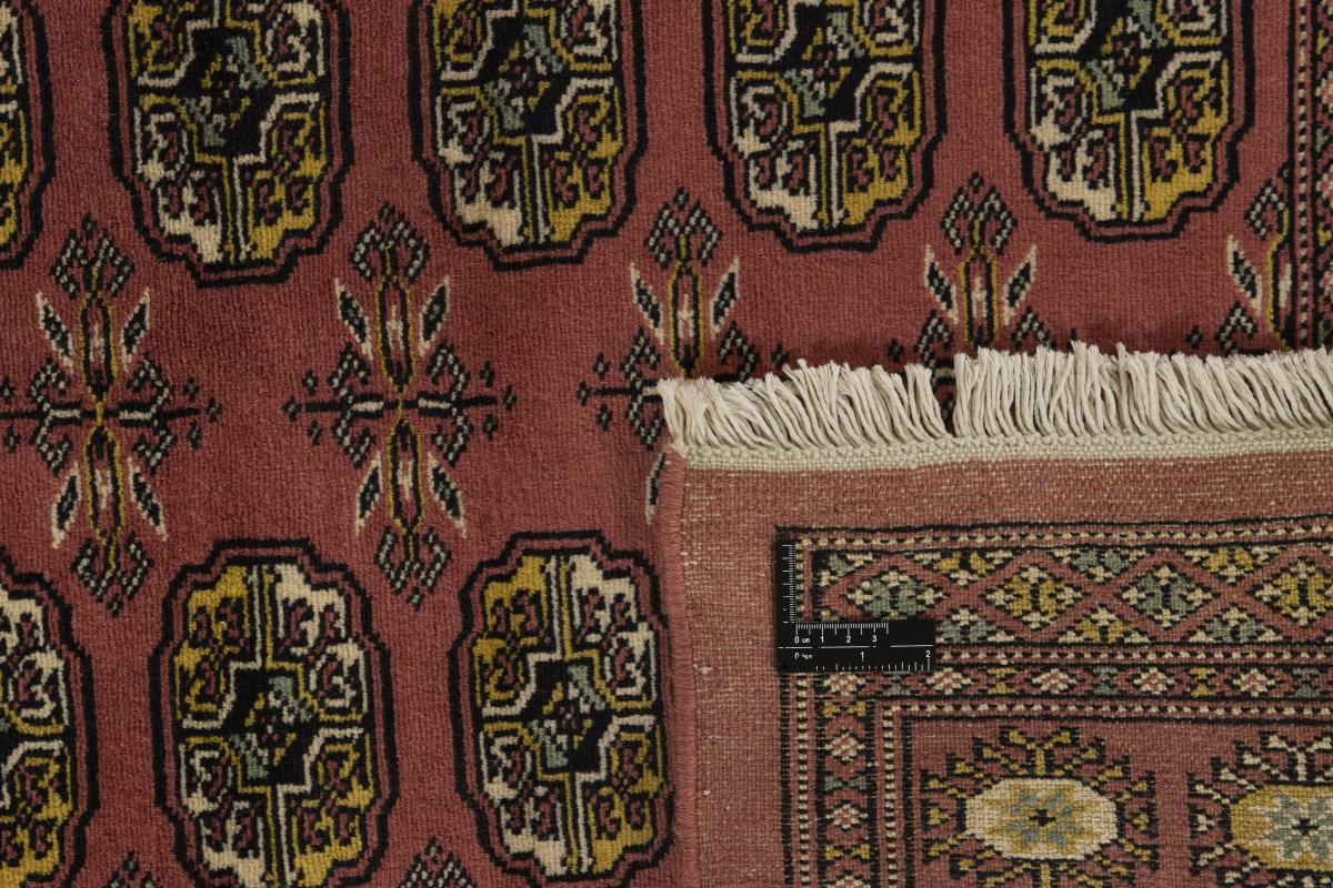 Pakistan Buchara 2ply - 1