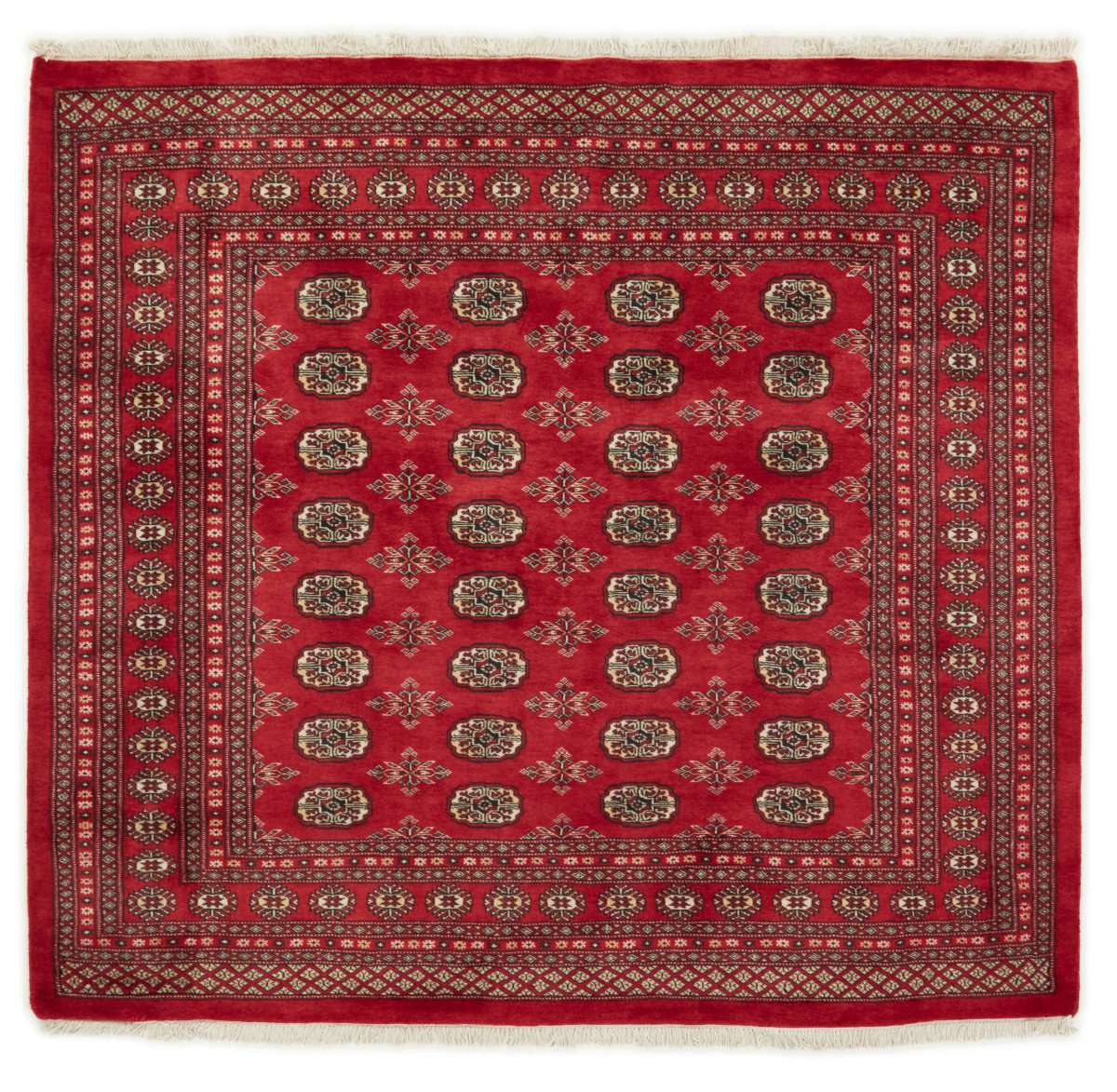 Tapis pakistanais Pakistan Buchara 2ply 184x201 184x201, Tapis persan Noué à la main