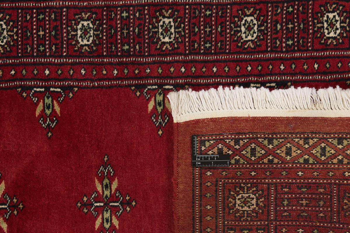 Pakistan Buchara 2ply - 1