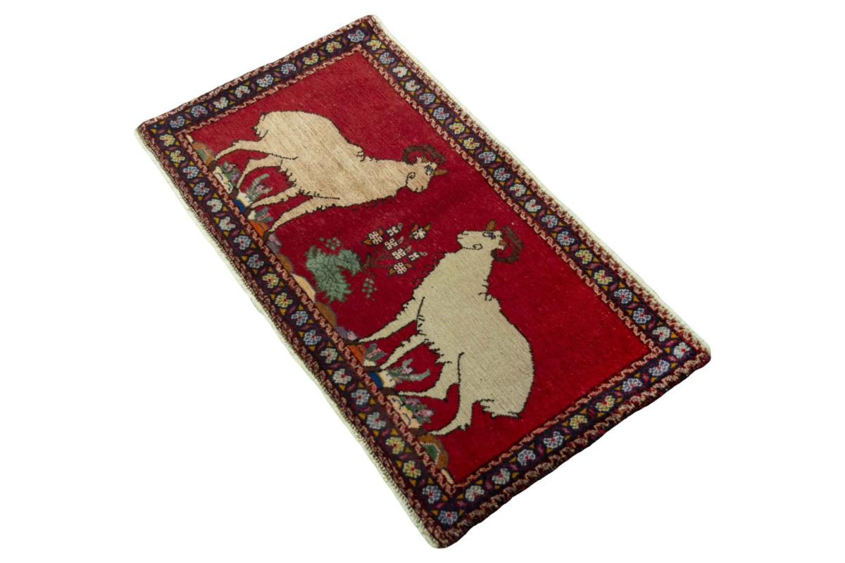 Shiraz - 1