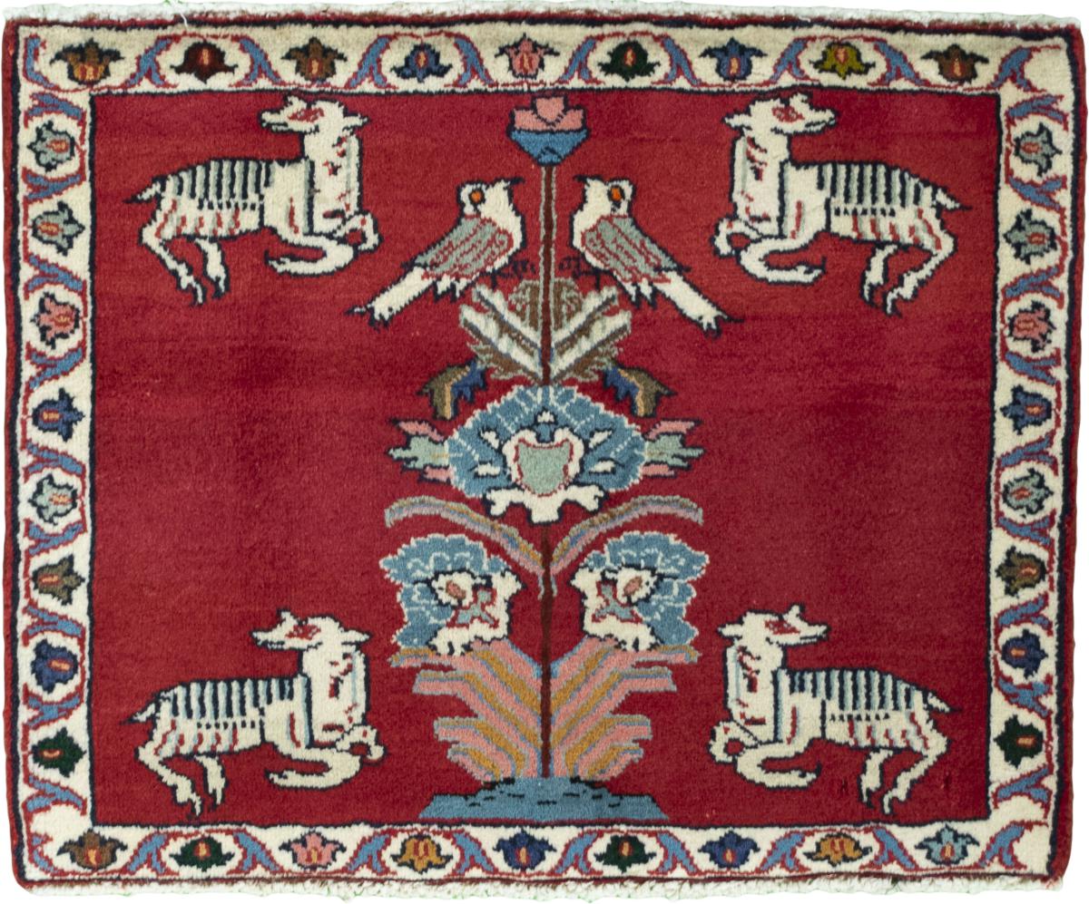 Persisk matta Shiraz 48x62 48x62, Persisk matta Knuten för hand