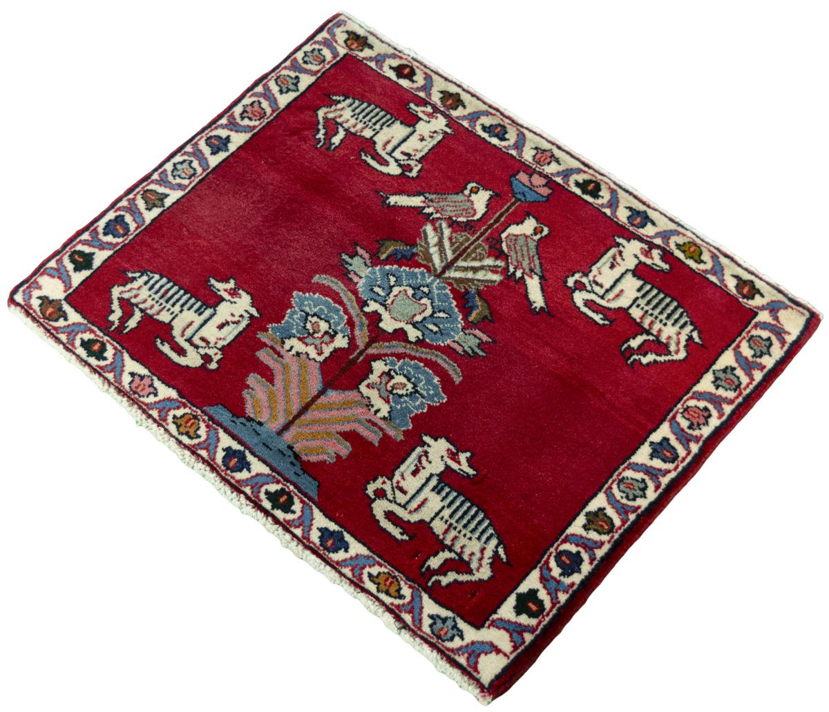Shiraz - 1