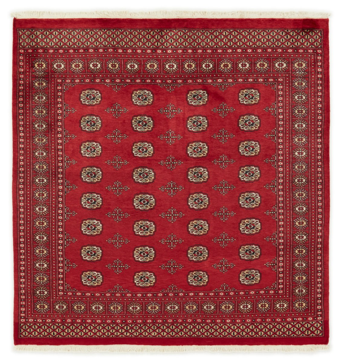 Pakisztáni szőnyeg Pakisztáni Buchara 2ply 206x198 206x198, Perzsa szőnyeg Kézzel csomózott