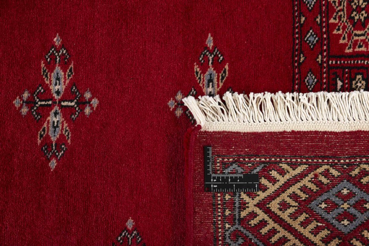 Pakistan Buchara 3ply - 1