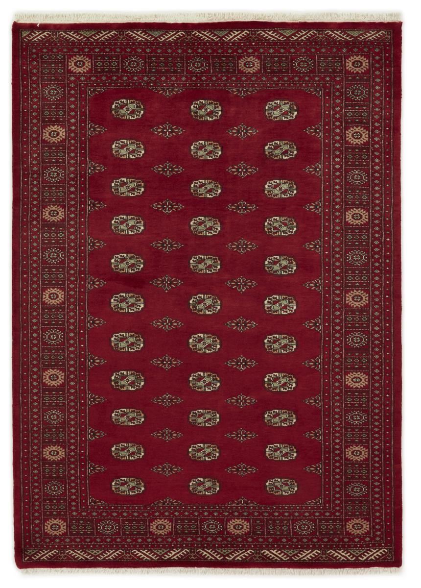 Pakistansk matta Pakistan Buchara 3ply 238x168 238x168, Persisk matta Handknuten