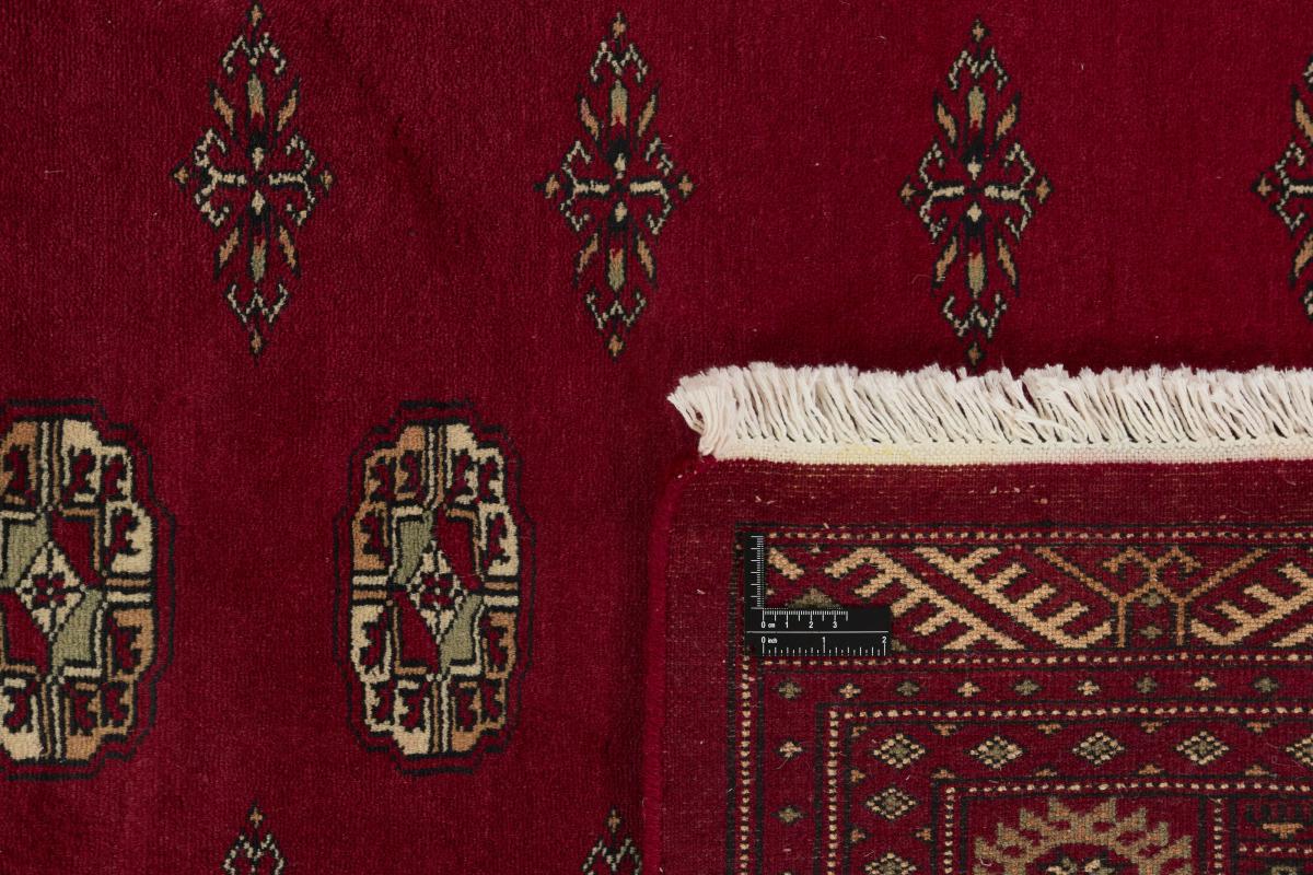 Pakistan Buchara 3ply - 1