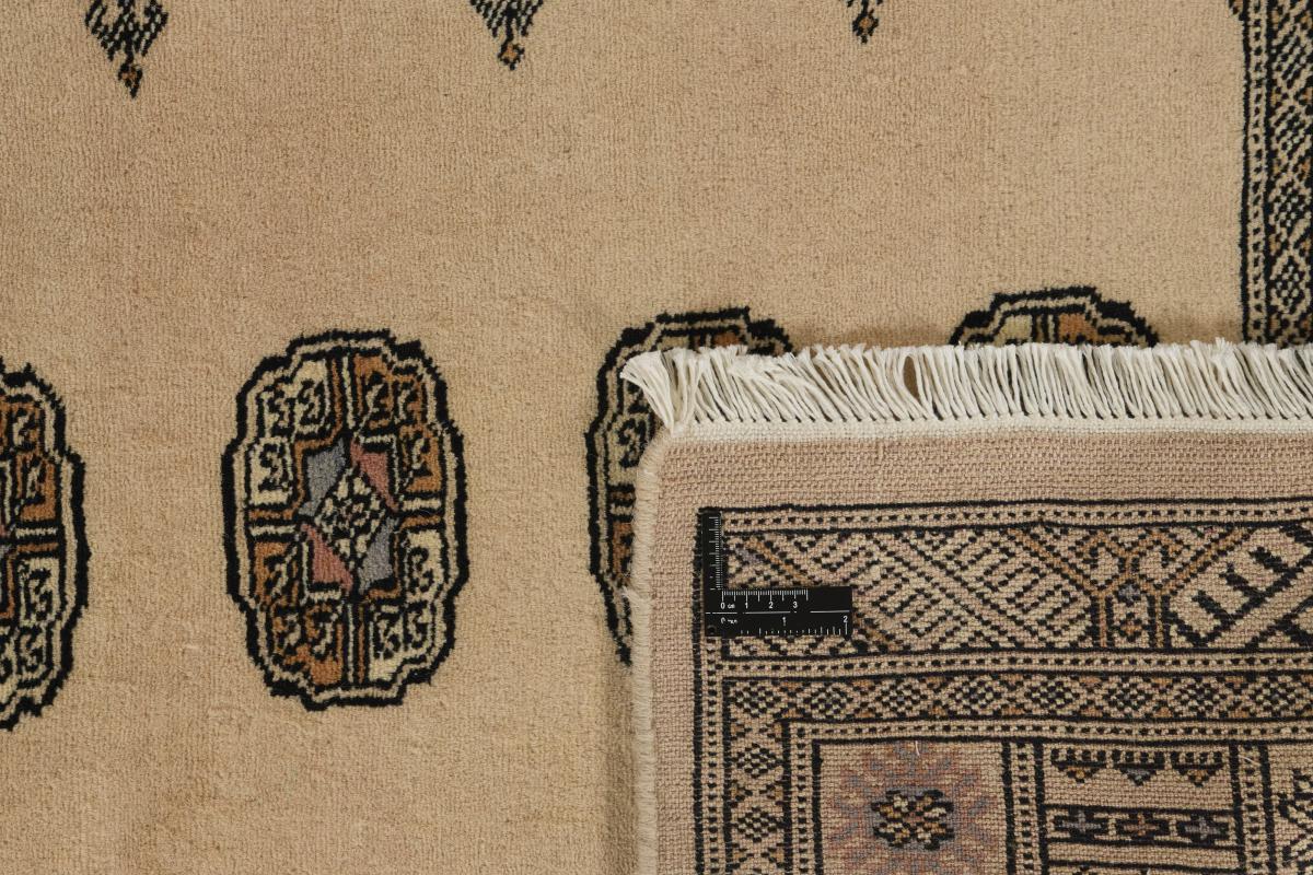 Pakistan Buchara 2ply - 1