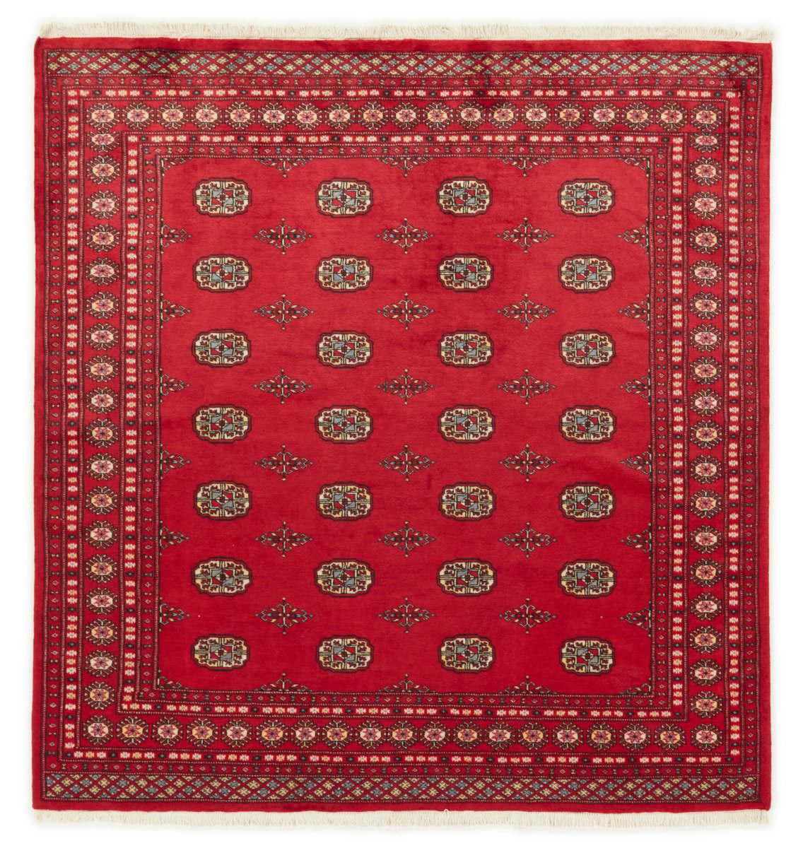 Pakisztáni szőnyeg Pakisztáni Buchara 2ply 204x196 204x196, Perzsa szőnyeg Kézzel csomózott