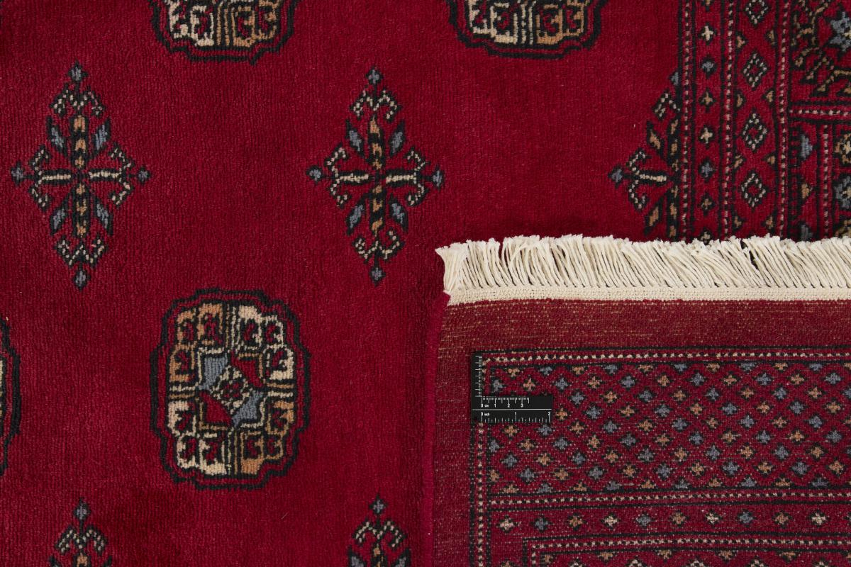 Pakistan Buchara 3ply - 1