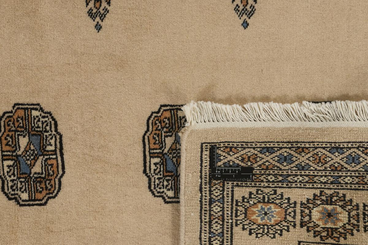 Pakistan Buchara 2ply - 1