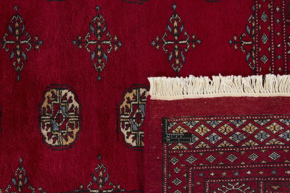 Pakistan Buchara 3ply - 1