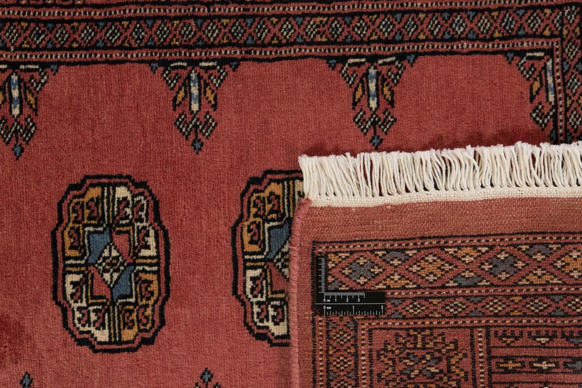 Pakistan Buchara 2ply - 1