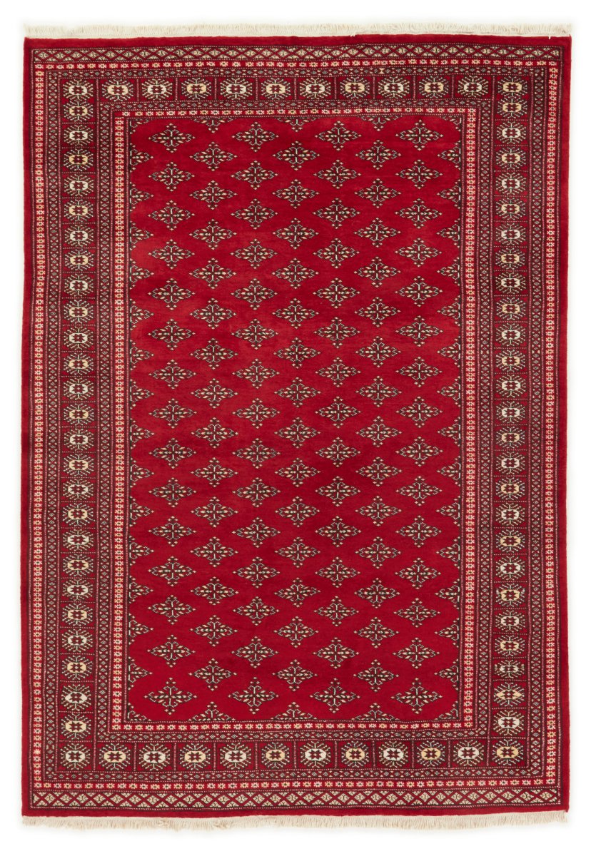 Tapis pakistanais Pakistan Buchara 2ply 246x172 246x172, Tapis persan Noué à la main