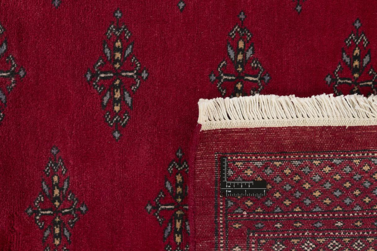 Pakisztáni Buchara 3ply - 1
