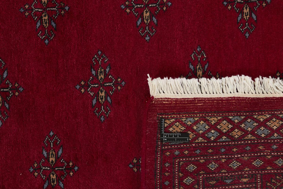 Pakistan Buchara 3ply - 1